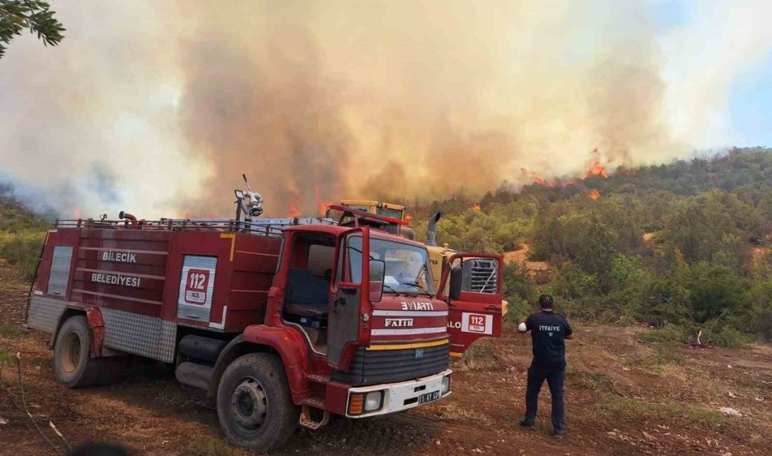 Bilecik’te geçtiğimiz günlerde başlayan ve 5 gün süren orman yangının