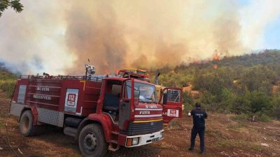 Bilecik’te geçtiğimiz günlerde başlayan ve 5 gün süren orman yangının
