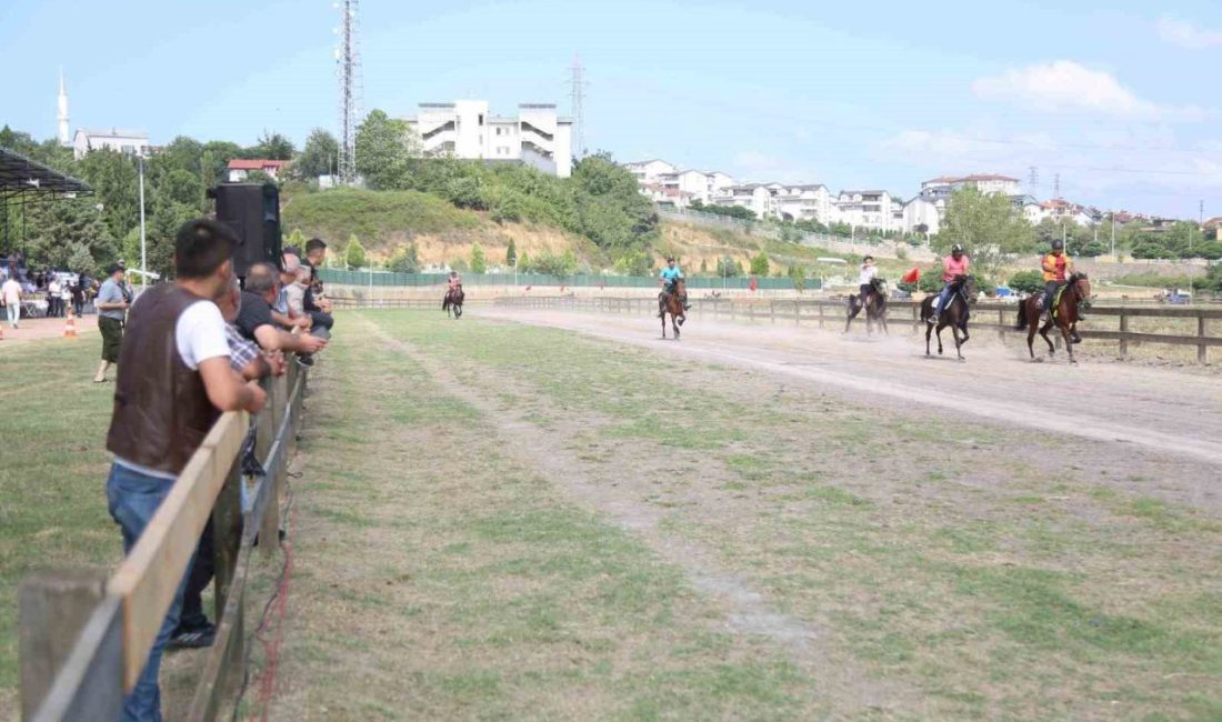 Rahvan at heyecanı 13 Temmuz’da yaşanacak Türkiye’nin dört bir yanından rahvan at yarışçıları, 13 Temmuz Pazar