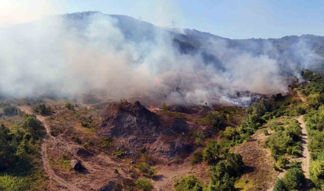 Sakarya-Düzce sınırındaki yangın bölgesi havadan görüntülendi Sakarya-Düzce sınırında çıkan orman yangını, helikopter ve dron ile görüntülendi.