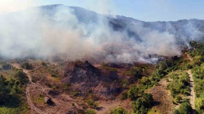 Sakarya-Düzce sınırında çıkan orman yangını, helikopter ve dron ile görüntülendi.