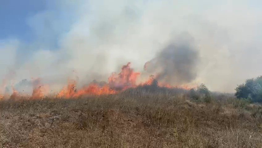 Sakarya Kaynarca’da makilik alanda yangın çıktı Sakarya’nın Kaynarca ilçesinde makilik alanda yangın çıktı. Rüzgarın etkisiyle yayılan
