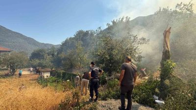 Sakarya’nın Geyve ilçesinde çıkan orman yangınına müdahale sürerken, alevlerin yaklaştığı