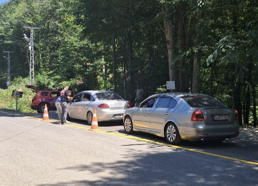 Sakarya’nın Akyazı ilçesinde yangın riski nedeniyle ormanlık alanlardaki mesire yerleri