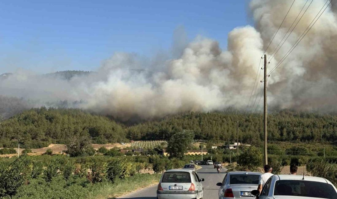 Sakarya’da orman yangını Sakarya’da Geyve ile Pamukova arasında yer alan Çardak Mahallesi yakınlarında