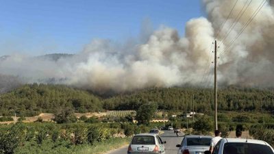 Sakarya’da Geyve ile Pamukova arasında yer alan Çardak Mahallesi yakınlarında