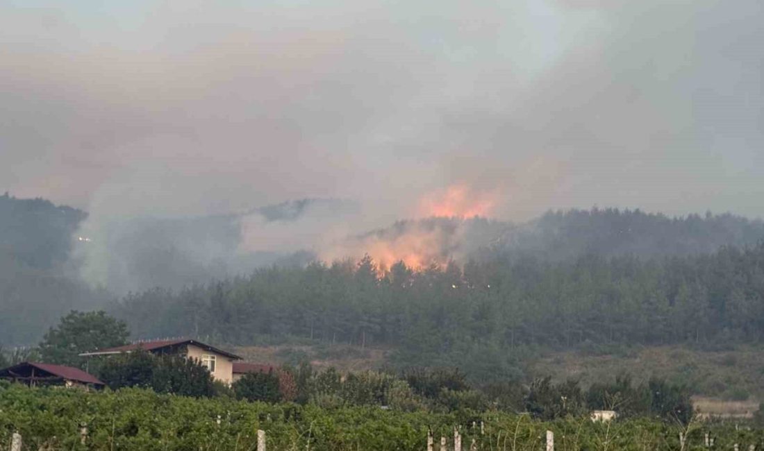 Sakarya’nın Geyve kırsalında çıkan orman yangınına 8 helikopter ve 5