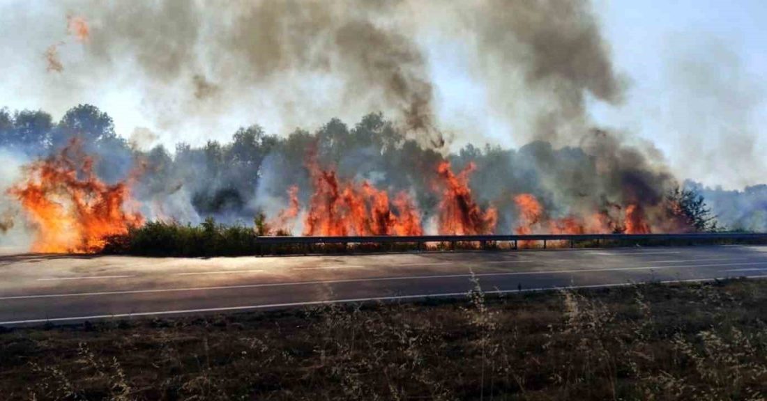 Sakarya’da otluk alanda korkutan yangın Sakarya’nın Akyazı ilçesi D-140 kara yolunda otluk ve çalılık alanda