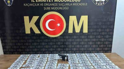 Sakarya’da polis ekiplerince düzenlenen operasyonda, 14 bin 100 sahte dolar