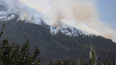 Sakarya’nın Geyve ilçesinde başlayan ve geniş alana yayılan orman yangını,