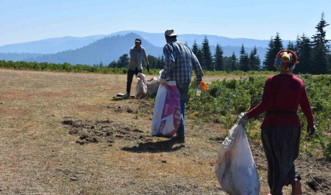 Sakarya’nın Hendek ilçesindeki Dikmen Yaylası’nda mahalle sakinleri, orman yangınları sonrasında