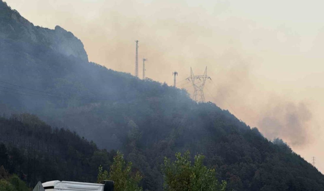 Sakarya’daki orman yangını kısmen kontrol altına alındı Sakarya’nın Geyve ilçesinde Karaçam ile Nuruosmaniye mahalleleri arasındaki ormanlık alanda