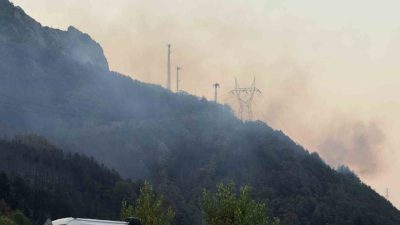 Sakarya’nın Geyve ilçesinde Karaçam ile Nuruosmaniye mahalleleri arasındaki ormanlık alanda