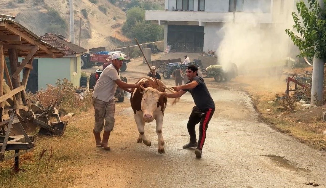 Sakarya’daki orman yangınına müdahale sürüyor: Bir mahalle tahliye ediliyor Sakarya’da Geyve ile Pamukova arasında yer alan Çardak Mahallesi yakınlarında