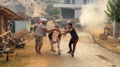 Sakarya’da Geyve ile Pamukova arasında yer alan Çardak Mahallesi yakınlarında