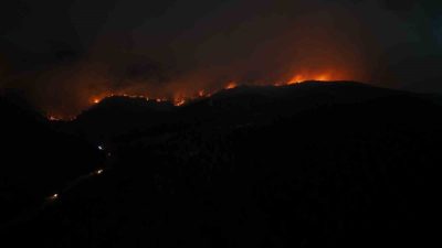 Sakarya’nın Geyve ilçesinde başlayan ve geniş bir alana yayılan orman