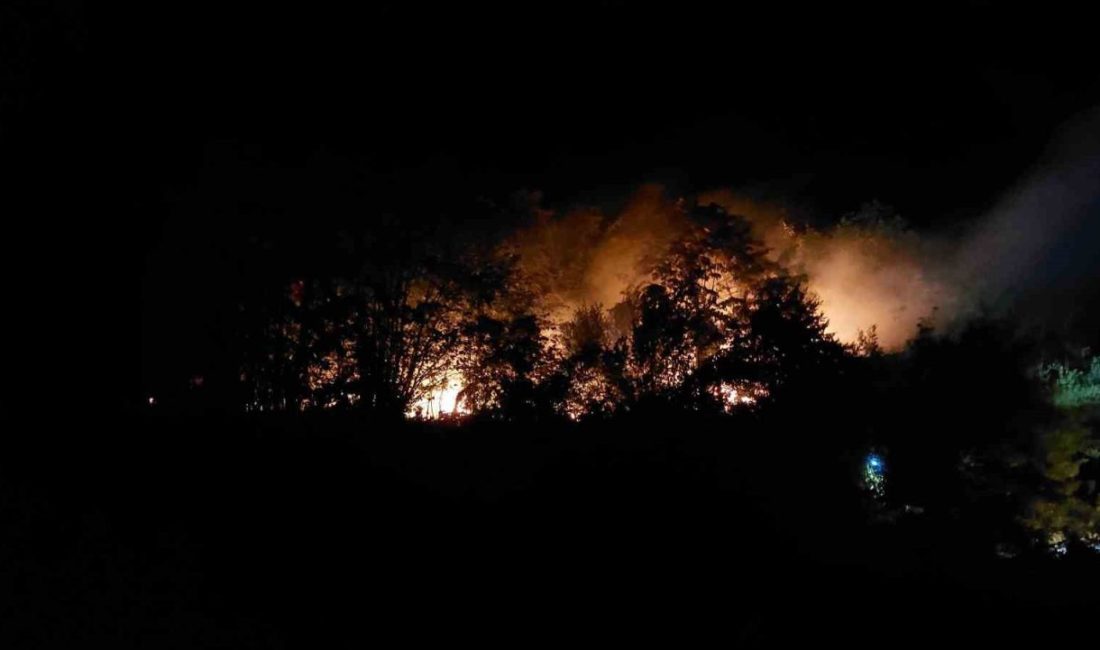 Sakarya’nın Akyazı ilçesinde dün gece ormanlık alanda çıkan yangınla bağlantısı