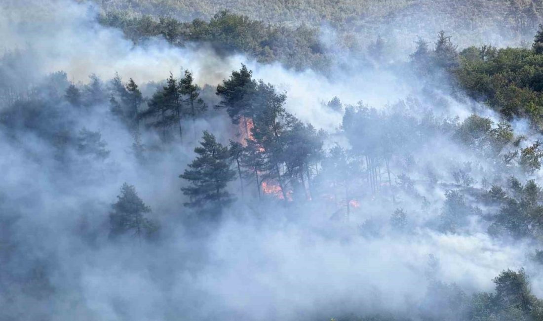 Sakarya’nın Taraklı ilçesinde başlayıp Bilecik’e sıçrayan ve yüzlerce hektar orman