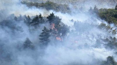 Sakarya’nın Taraklı ilçesinde başlayıp Bilecik’e sıçrayan ve yüzlerce hektar orman