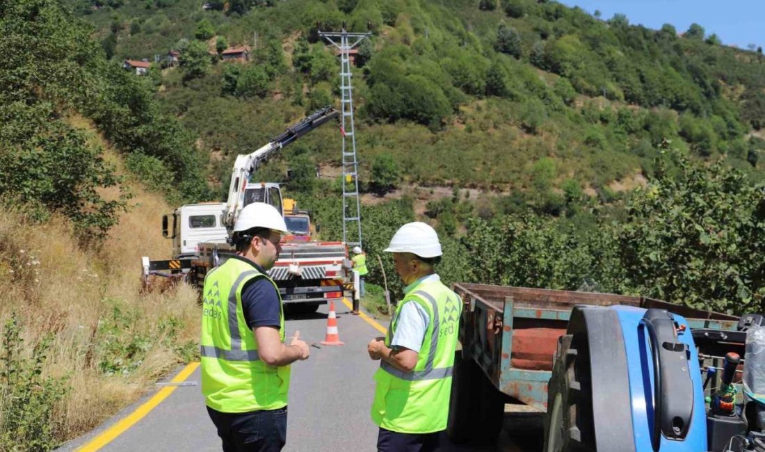Sakarya Elektrik Dağıtım AŞ (SEDAŞ), 2025 yılı yatırım programı kapsamında