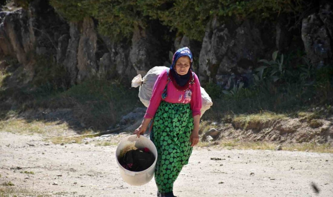 Sakarya’da etkisini artıran sıcak hava dalgası, vatandaşları serin bölgelerde çare