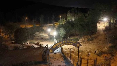 Düzce Belediyesi ve İl Özel İdaresi iş birliğiyle, sahipsiz sokak