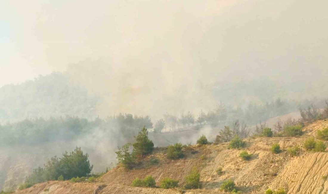 Tarihi İpek Yolu yanıyor Bilecik’in Osmaneli ilçesinde devam eden yangında tarihi İpek Yolu’nun geçtiği