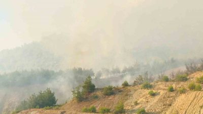 Bilecik’in Osmaneli ilçesinde devam eden yangında tarihi İpek Yolu’nun geçtiği