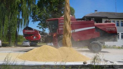 DÜZCE (İHA) – Düzce Belediyesi Tarım Akademisi, geçtiğimiz yıl başlattığı