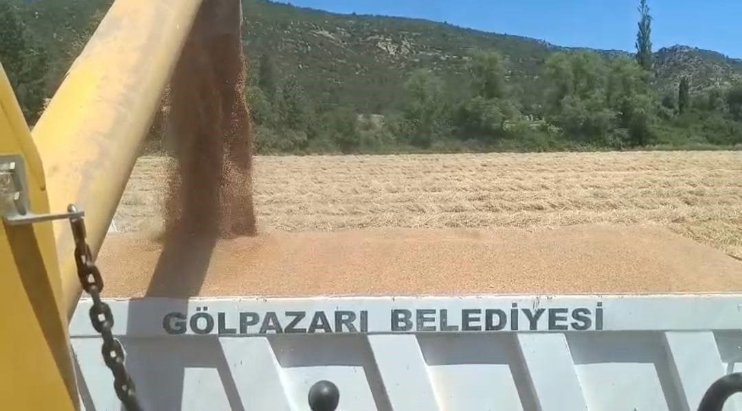 Tarım arazilerinde hasat sevinci Gölpazarı Belediyesi tarım arazilerini en verimli şekilde değerlendirmeye devam ediyor.