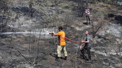 Kastamonu’nun Taşköprü ilçesinde tarım arazisinde çıkan ve ormanlık alana sıçrayan