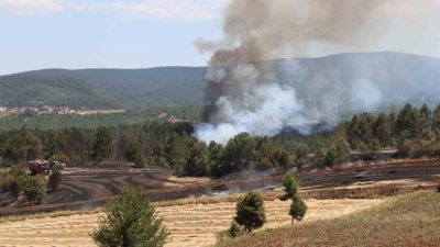 Kastamonu’nun Taşköprü ilçesinde tarım arazisinde çıkan yangın ormanlık alana sıçradı.