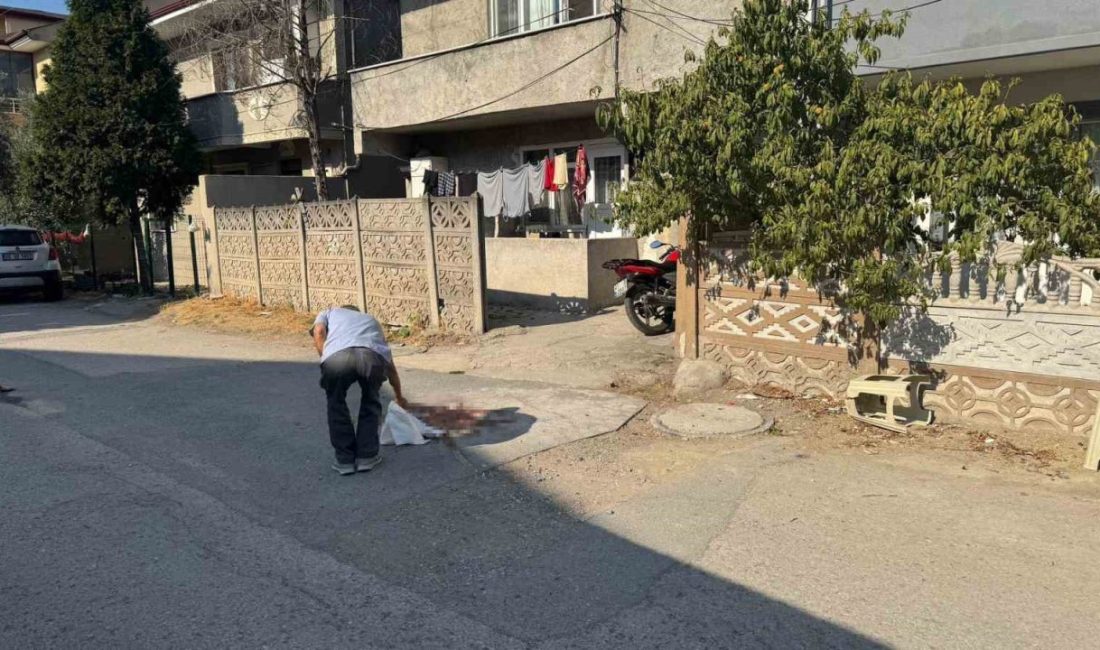 Tartıştığı babasını pompalı tüfekle vurarak ağır yaraladı Sakarya’nın Erenler ilçesinde tartıştığı babasını pompalı tüfekle ağır yaralayan şahıs,