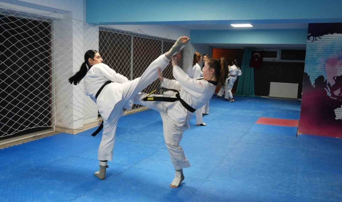 Evlerinin yanına açılan spor salonunda tesadüfen tanıştığı taekwondoda Avrupa şampiyonu