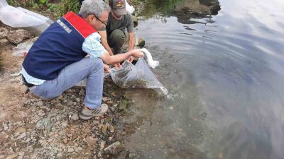 Düzce (İHA) – Düzce’de Tarım ve Orman İl Müdürlüğü tarafından