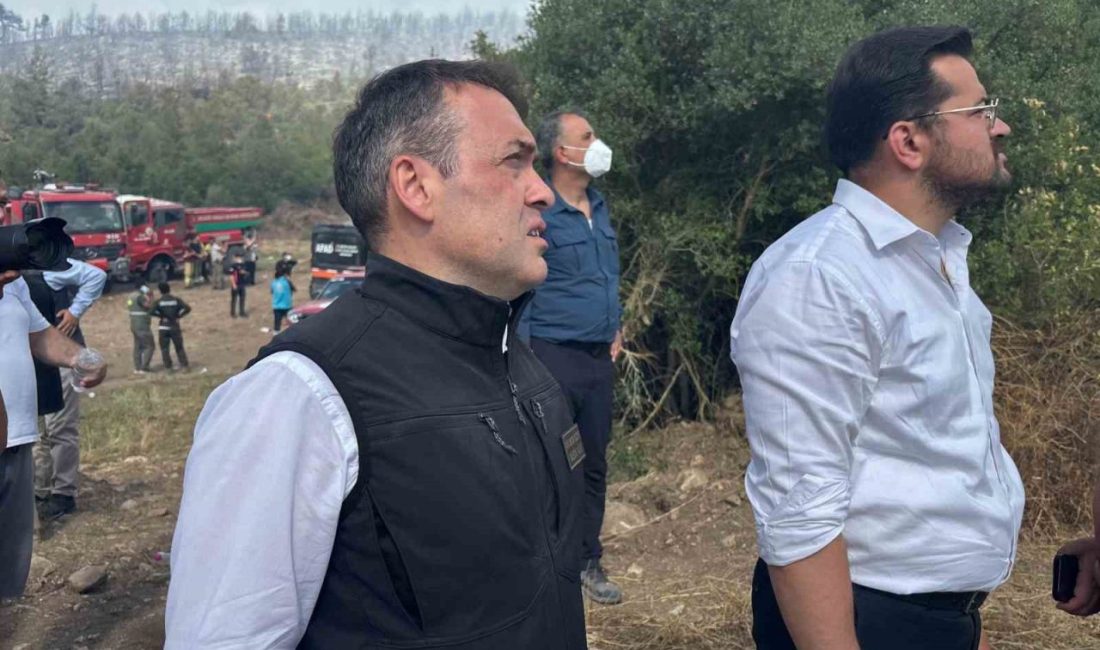 Vali Sözer, Vezirhan’daki orman yangını yerinde takip ediyor Bilecik’in Vezirhan Beldesine bağlı Zobran köyünde çıkan orman yangınını söndürme