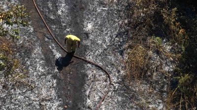 Yalova’nın Çınarcık ilçesine bağlı Teşvikiye beldesi ormanlık alanda çıkan yangın