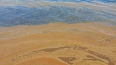 Yalova’nın Çiftlikköy ilçesinde yağmur suyu kanalından Marmara Denizi’ne atık yağ