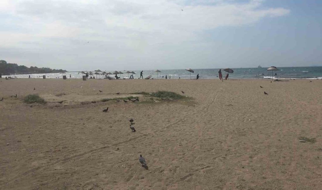 Yalova’da denizde boğulma tehlikesi geçiren çocuğu vatandaşlar kurtardı Yalova’da girdiği denizde boğulma tehlikesi geçiren 8 yaşındaki çocuğu vatandaşlar