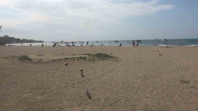 Yalova’da girdiği denizde boğulma tehlikesi geçiren 8 yaşındaki çocuğu vatandaşlar