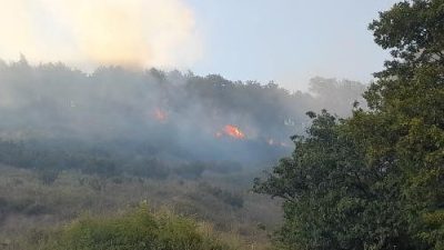 Yalova merkeze bağlı Sugören köyünde ormanlık alanda çıkan yangın, ekiplerin