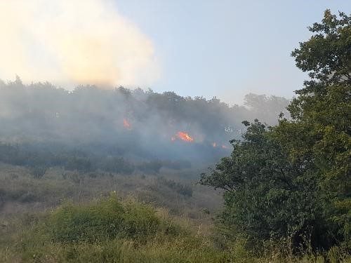 Yalova’da orman yangını Yalova merkeze bağlı Sugören köyünde ormanlık alanda çıkan yangın, ekiplerin