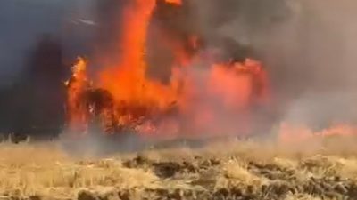 Yalova’nın Çiftlikköy ilçesinde tarlada çıkan yangında yüzlerce saman balyası kül