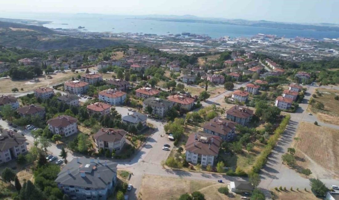 Yalova’nın Altınova ilçesine bağlı Subaşı beldesinde belediye tarafından kanatlı ve