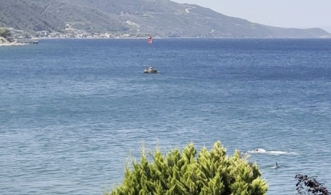 Yalova’da yunusun yüzen vatandaşla burun buruna geldiği anlar kamerada Yalova’nın Çınarcık ilçesine bağlı Esenköy beldesi kıyısına kadar gelen yunus