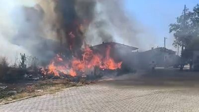 Yalova’nın Çınarcık ilçesinde zeytinlik alanda çıkan yangın, itfaiye ekipleri tarafından