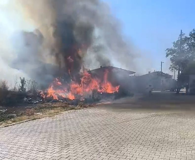 Yalova’da zeytinlikte yangın Yalova’nın Çınarcık ilçesinde zeytinlik alanda çıkan yangın, itfaiye ekipleri tarafından