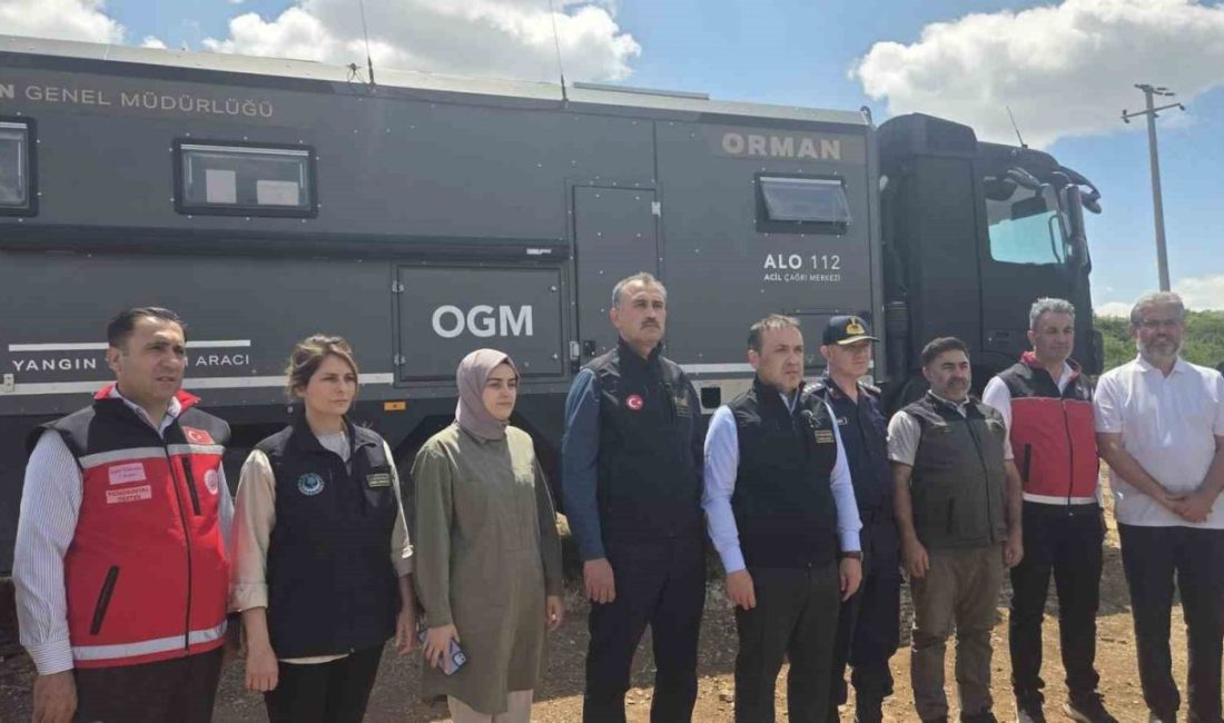 Bilecik’in Gölpazarı ve Osmaneli ilçelerinde meydana gelen orman yangınlarından etkilenen
