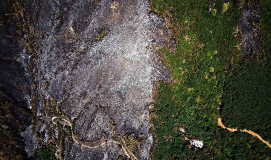 Sakarya’nın Geyve ilçesine bağlı Nuruosmaniye ve Karaçam Mahallelerinde çıkan yangının
