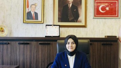 Bilecik’in Gölpazarı ilçesine bağlı köylerde meydana gelen yangınlar sonrası zarar